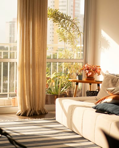 Condesa apartment light